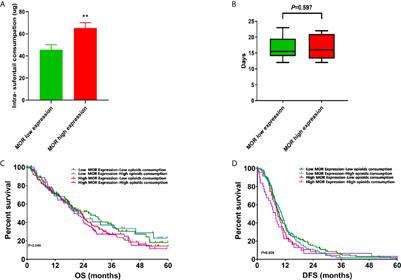 Association of Mu-Opioid Receptor(MOR) Expression and Opioids Requirement With Survival in Patients With Stage I-III Pancreatic Ductal Adenocarcinoma